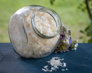 Bioloģiski kokosriekstu čipsi (RAW)