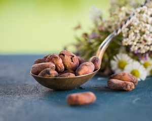 Bioloģiskas kakao pupiņas