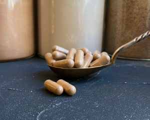 Bioloģisks lakas plakanpiepes (reishi) sēņu kapsulas, 500mg